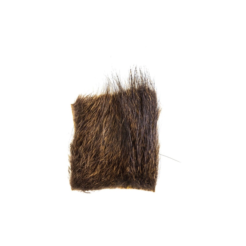 Nutria