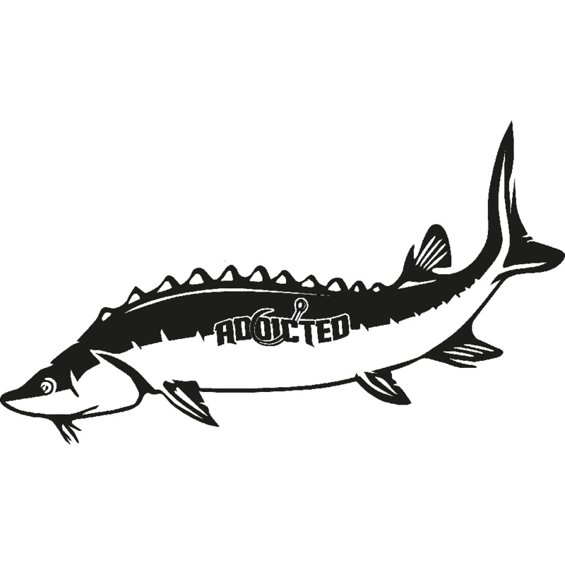 Sturgeon Decal Black